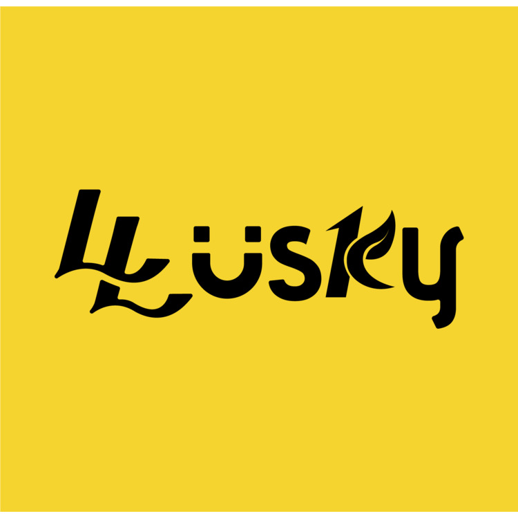 LLUSKYlogo