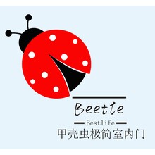 甲殼蟲極簡室內門