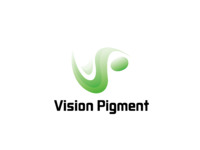vision  plgment