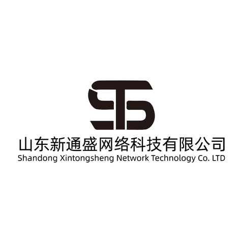 山东新通盛网络科技有限公司logo设计