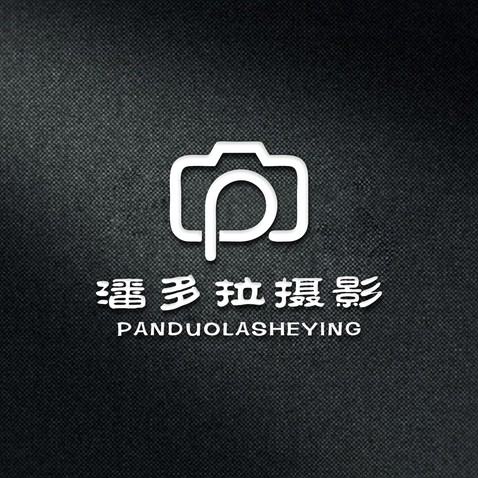 潘多拉摄影2logo设计