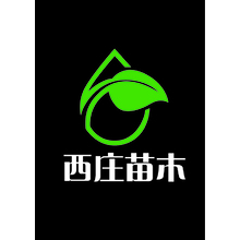 西莊苗木