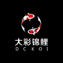 大彩锦鲤1