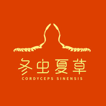 冬蟲夏草