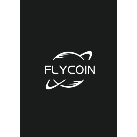 FlyCoinlogo设计