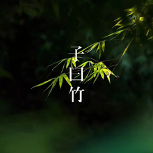 子曰竹