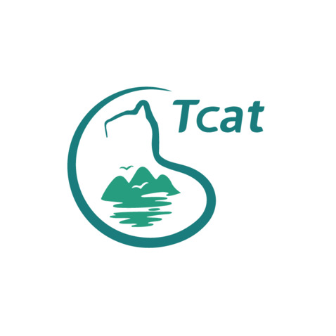 tcatlogo设计