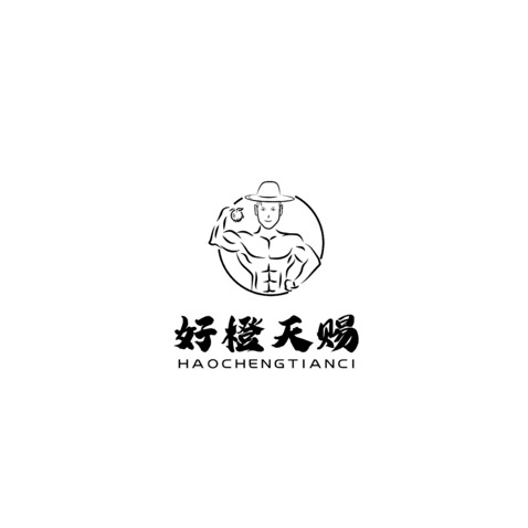 好橙天赐logo设计