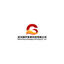 武汉国宇常青科技有限公司
