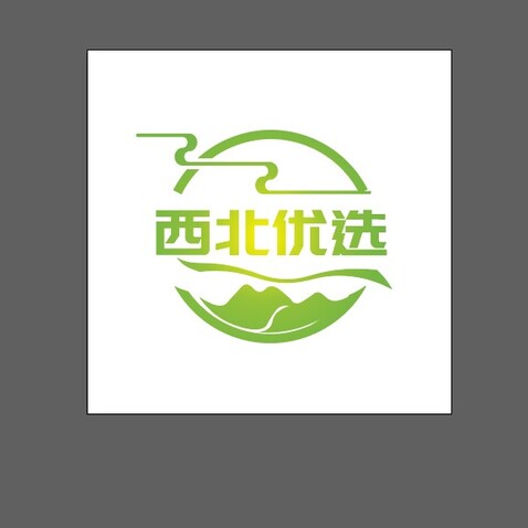 西北优选logo设计