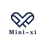 MINI XI