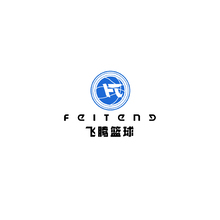 飞腾篮球