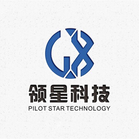 海南领星科技有限公司logo设计