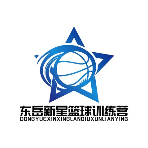 东岳新星篮球训练营logo设计