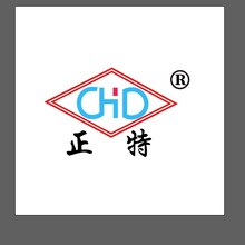 正特