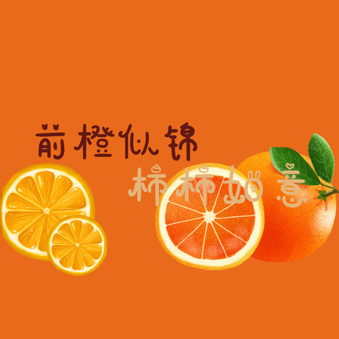 前橙似锦 柿柿如意logo设计