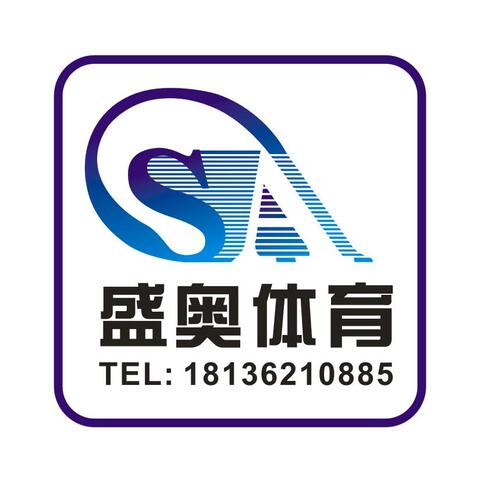 盛奥体育logo设计