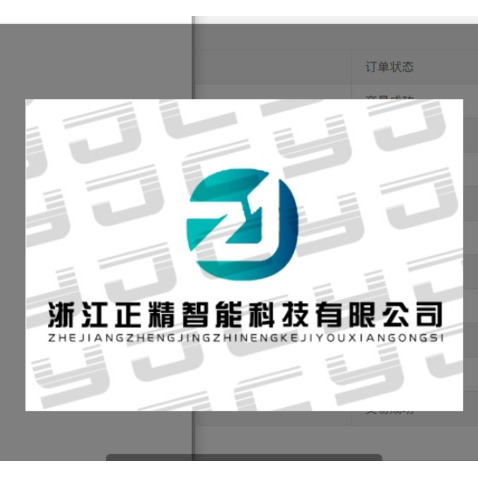 浙江正精智能科技有限公司logo设计