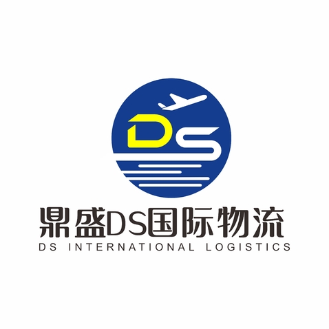 鼎盛DS国际物流logo设计