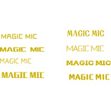 MAGIC MIC