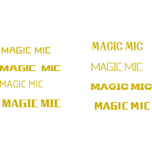 MAGIC MIC