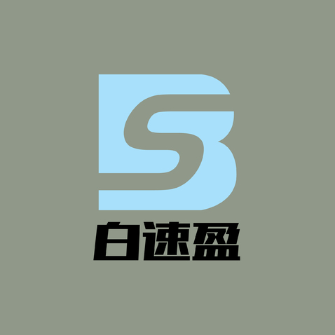 白速盈logo设计