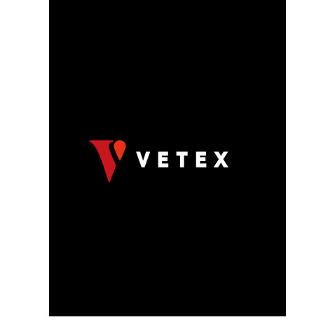 VETEXlogo设计