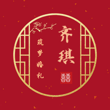 齐琪Logo