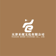 天津禾视文化公司