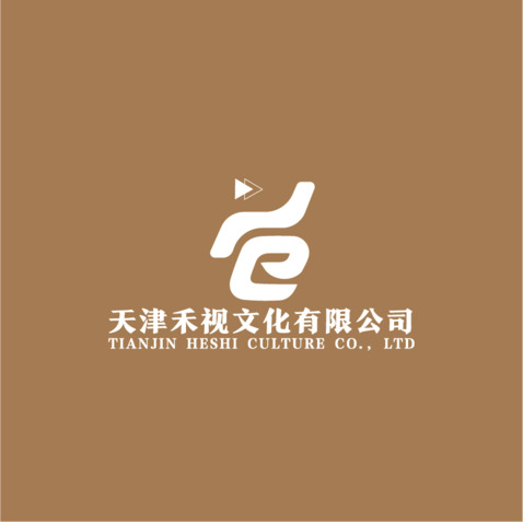 天津禾视文化公司logo设计