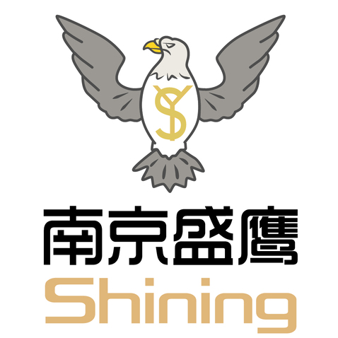 南京盛鹰logo设计