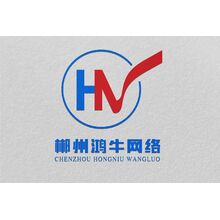 鴻牛網絡效果圖