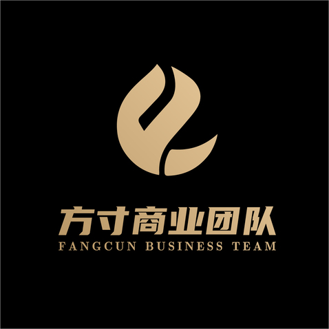 方寸商业团队 logo设计