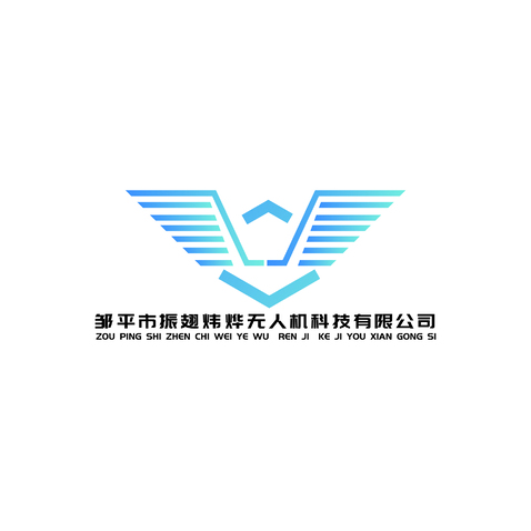 邹平市振翅炜烨无人机科技有限公司logo设计