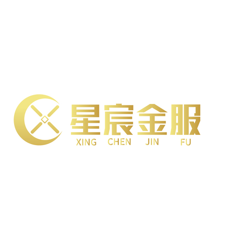 星宸金服logo设计