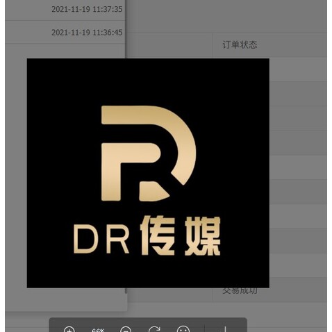 DR传媒logo设计