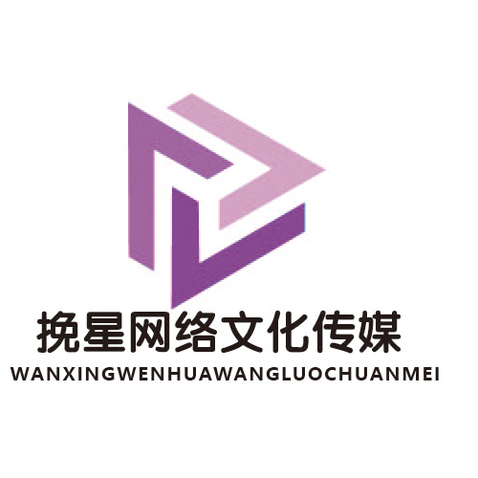 挽星网络文化传媒logo设计