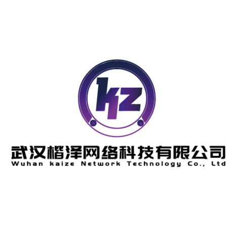 武汉楷泽网络科技有限公司logo设计