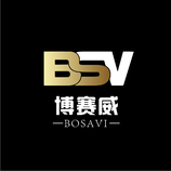 BSV字母logo