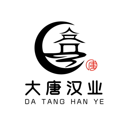 大唐汉业logo设计