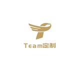 Team定制