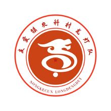 友愛鎮農科村龍燈隊