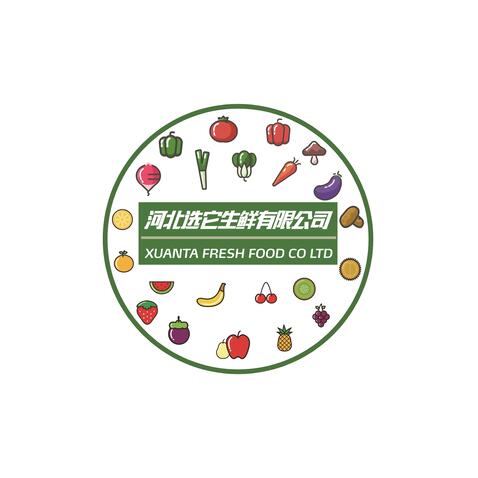 河北选它生鲜有限公司logo设计