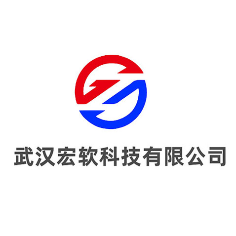 武汉宏软科技有限公司logo设计