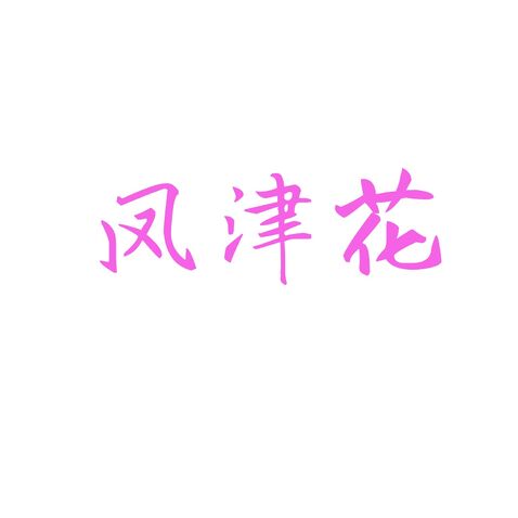 凤津花logo设计