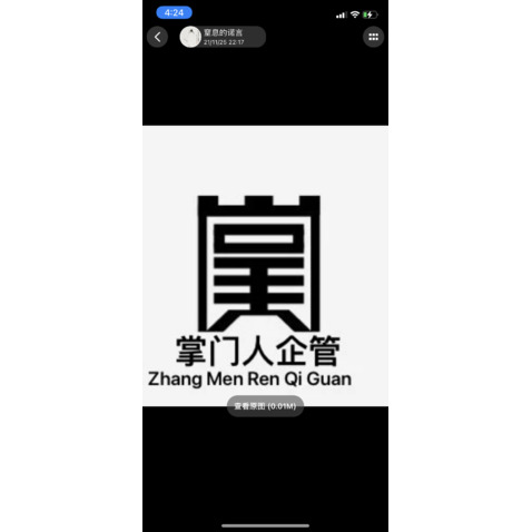 掌门人logo设计