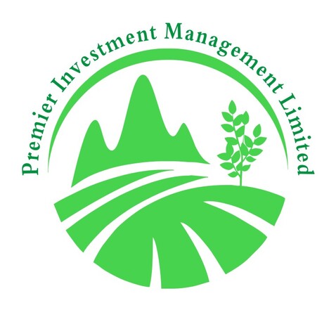 Premier Investment Management Limitedlogo設計