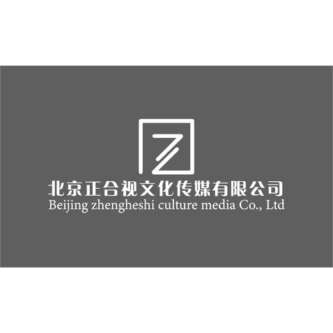 北京正合视logo设计