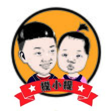 提小提