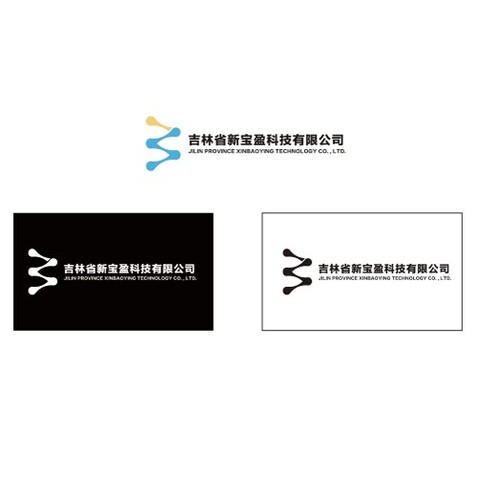 吉林省新宝盈科技有限公司logo设计